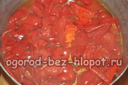 poivre bouilli