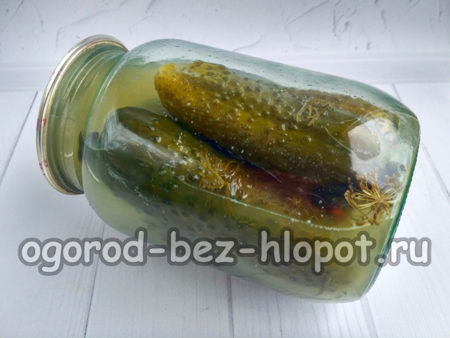 cetrioli preparati