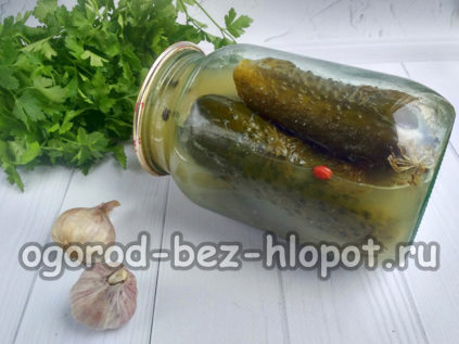 cetrioli sottaceto in barattolo