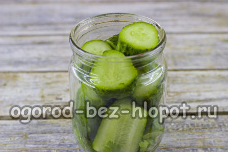 Gurken in ein Glas geben