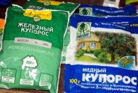 Medicinali per le malattie dell'uva