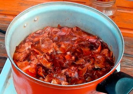 buccia di cipolla