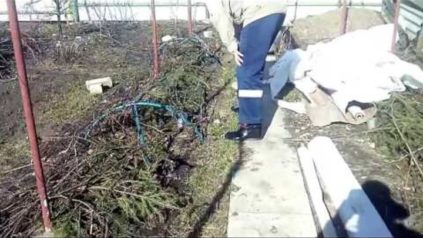 offene Trauben im Frühling