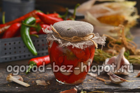 vorbereitete Chilischoten