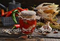 Chilischoten für den Winter