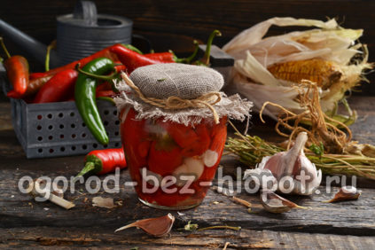 Chilischoten für den Winter