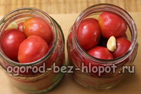 riempire i barattoli con i pomodori