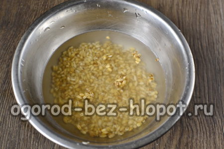 faire tremper et bouillir l'orge perlé
