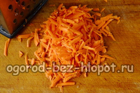 râper les carottes
