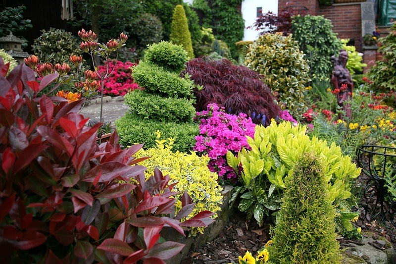 Gartenpflanzen