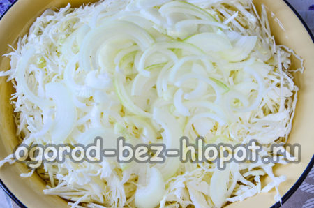 Zwiebeln hinzufügen