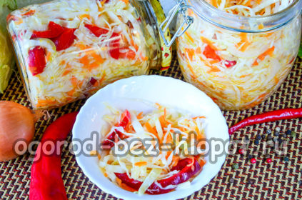 Krautsalat für den Winter