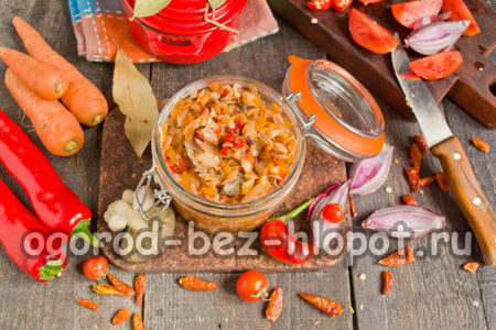 solyanka prête à consommer