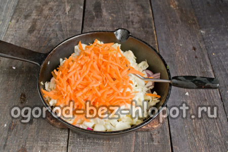 râper les carottes