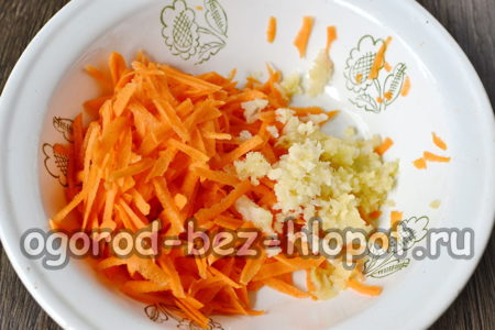 Hachez les carottes et l'ail.