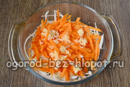 placer les légumes dans un récipient