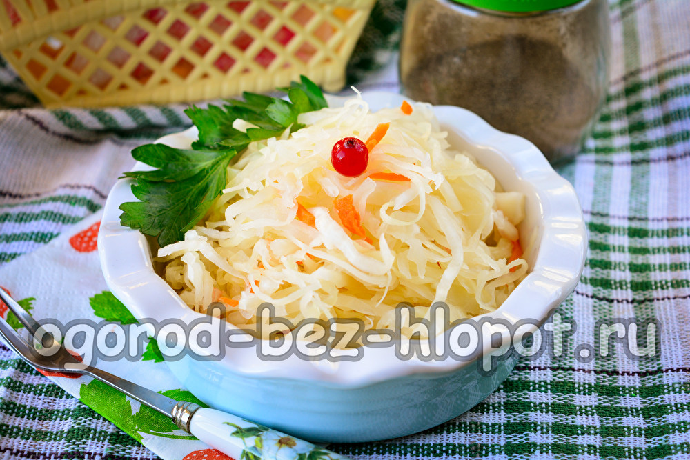 täglich frischer Kohl im Glas