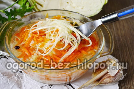 chou quotidien avec des carottes