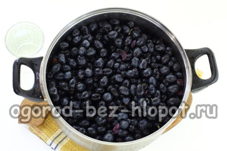 raisins dans une casserole