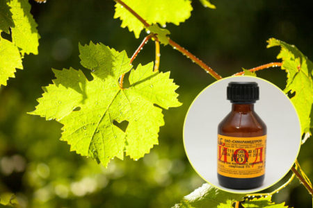Iode pour la transformation des raisins