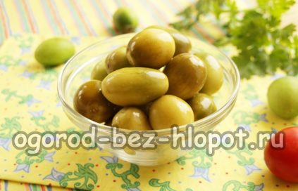 كيفية تخليل الطماطم الخضراء
