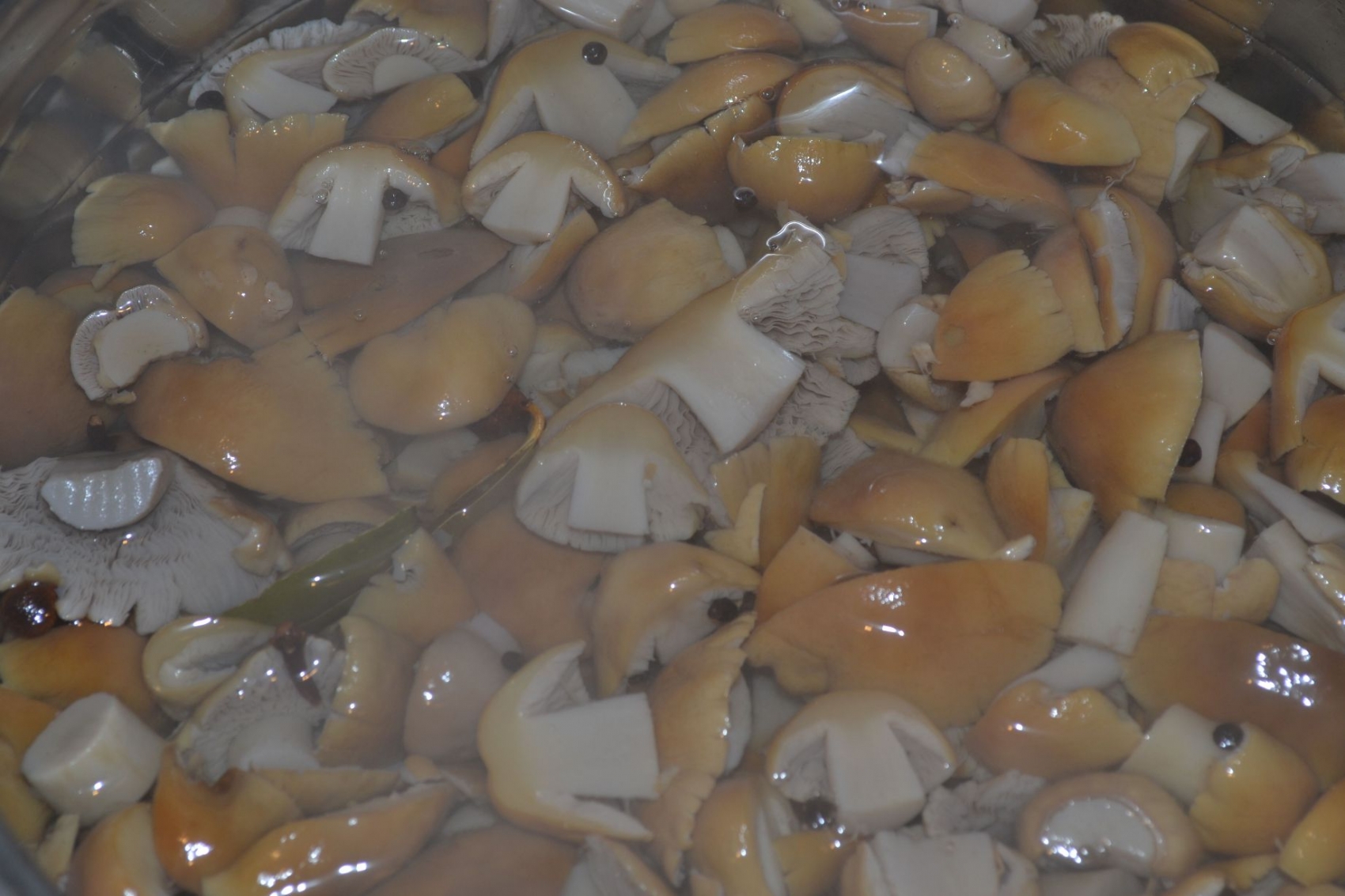 Champignons des marais marinés