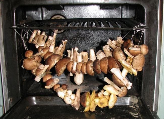 Essiccare i funghi su una corda