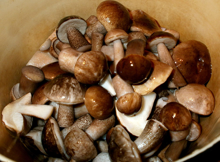 Cuisson des champignons de tremble