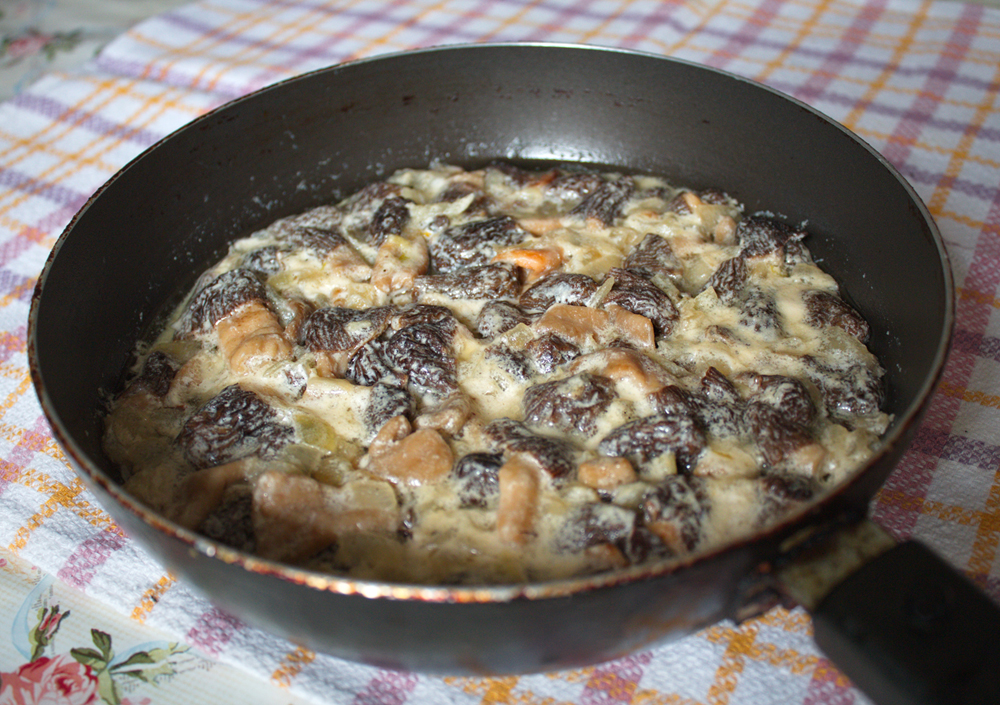 Gebratene Morcheln in Sauerrahm mit Zwiebeln