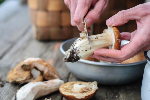 Cleaning tubular mushrooms