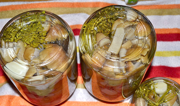 champignons de sorbier marinés
