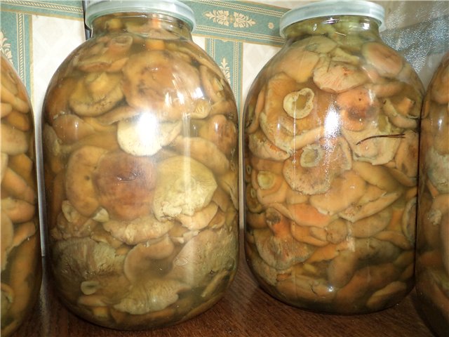 Champignons marinés