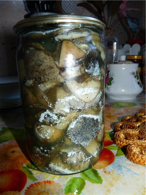 Moisissure sur les champignons salés