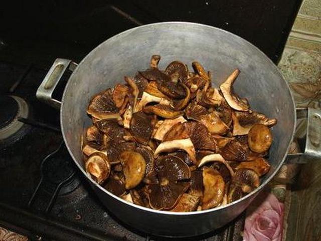 Vorbereitung zum Kochen