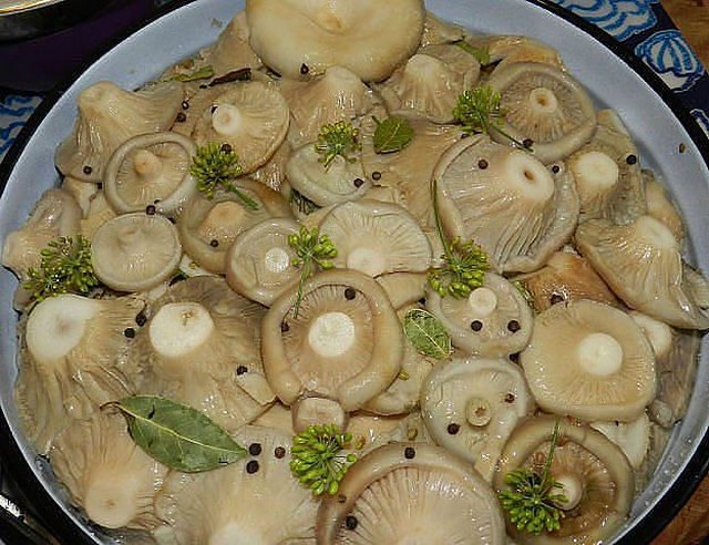 Champignons salés