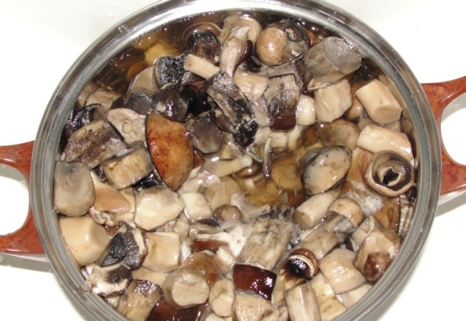 عملية طهي الفطر