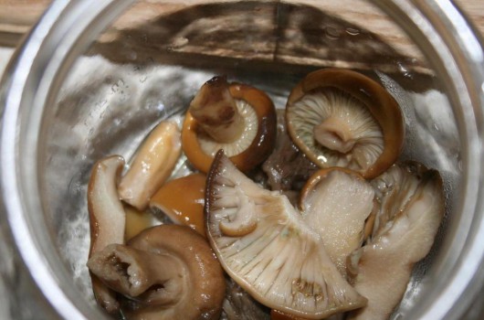 champignons de sorbier marinés