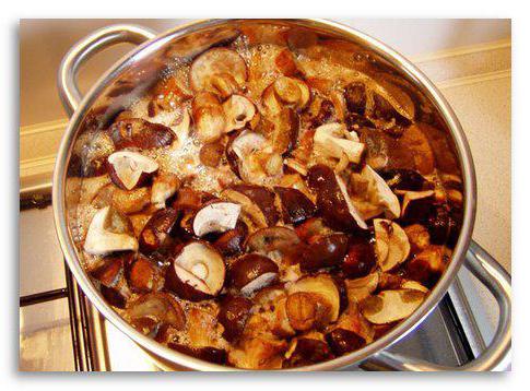 Pilze kochen