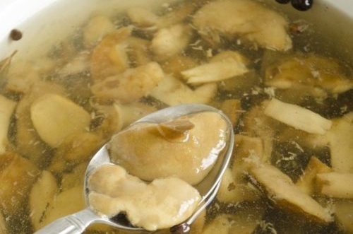 Marinierte polnische Champignons