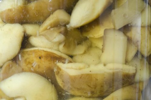Marinierte polnische Champignons
