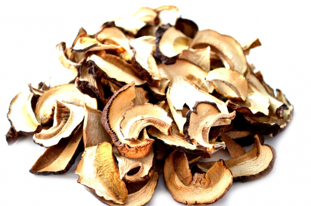 funghi secchi