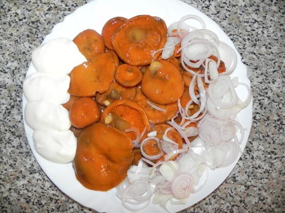 Safranmilchkapseln mit Zwiebeln