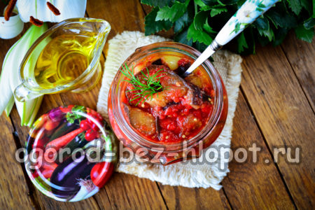 Aubergines à la sauce tomate pour l'hiver
