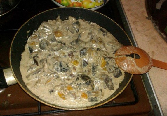 funghi stufati