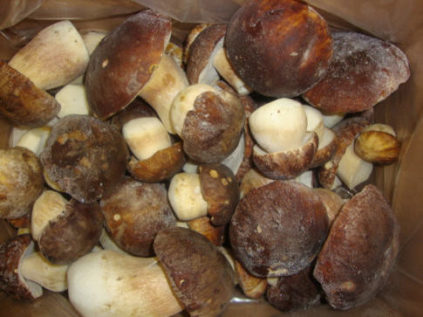 Funghi congelati