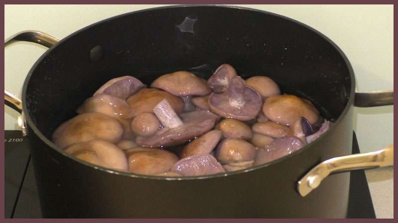 Pilze kochen