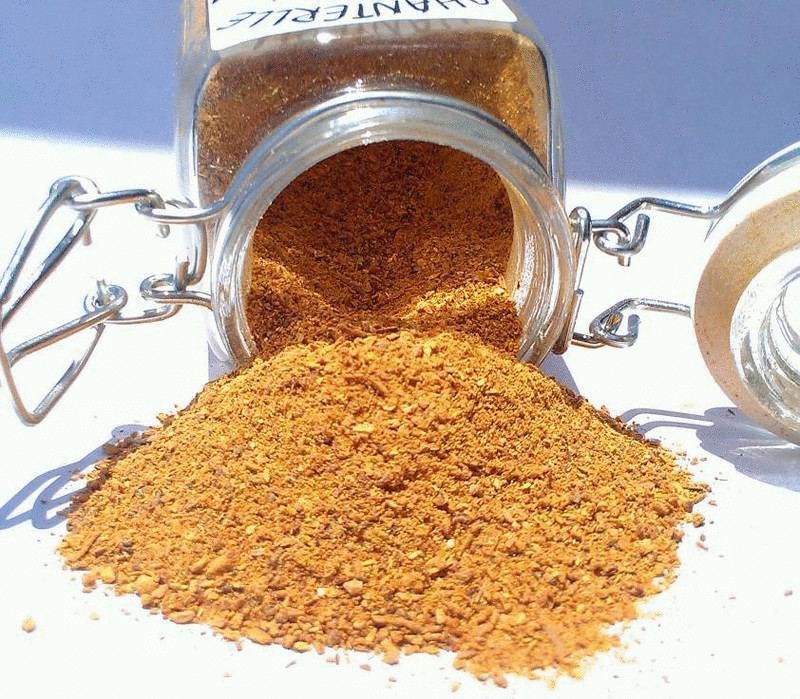 Pilzpulver