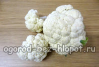 قرنبيط