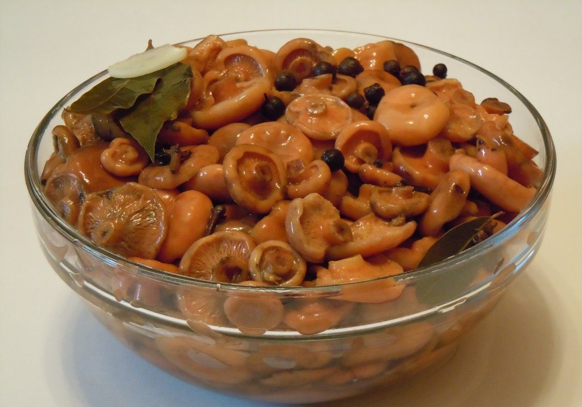 Marinierte Champignons mit Beeren
