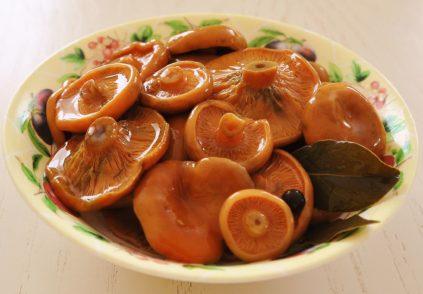 Мариновани капачки от шафраново мляко